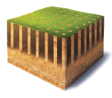 Plug Image